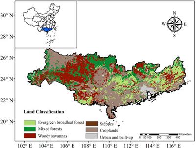 Comprehensive evaluation of vegetation responses to meteorological drought from both linear and nonlinear perspectives